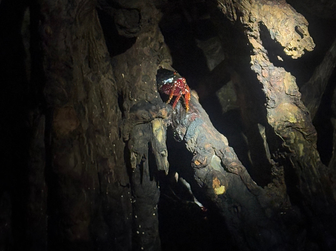 BioIsland-Cabezas必去景点