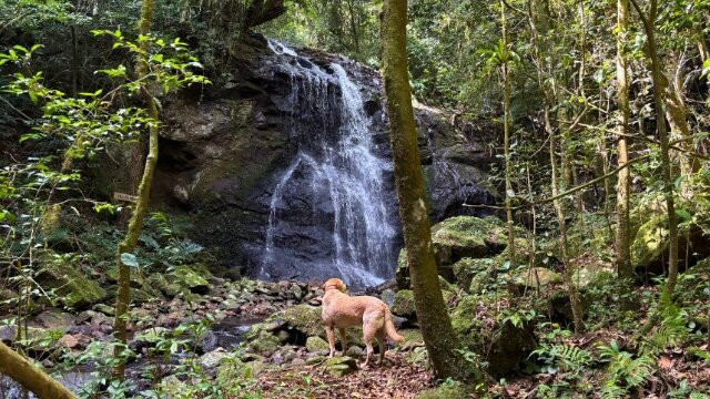 Eco Park Alta Mira-Sao Francisco de Paula必去景点