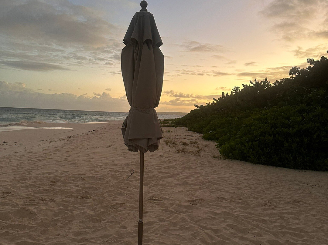 Quintessence Hotel主图