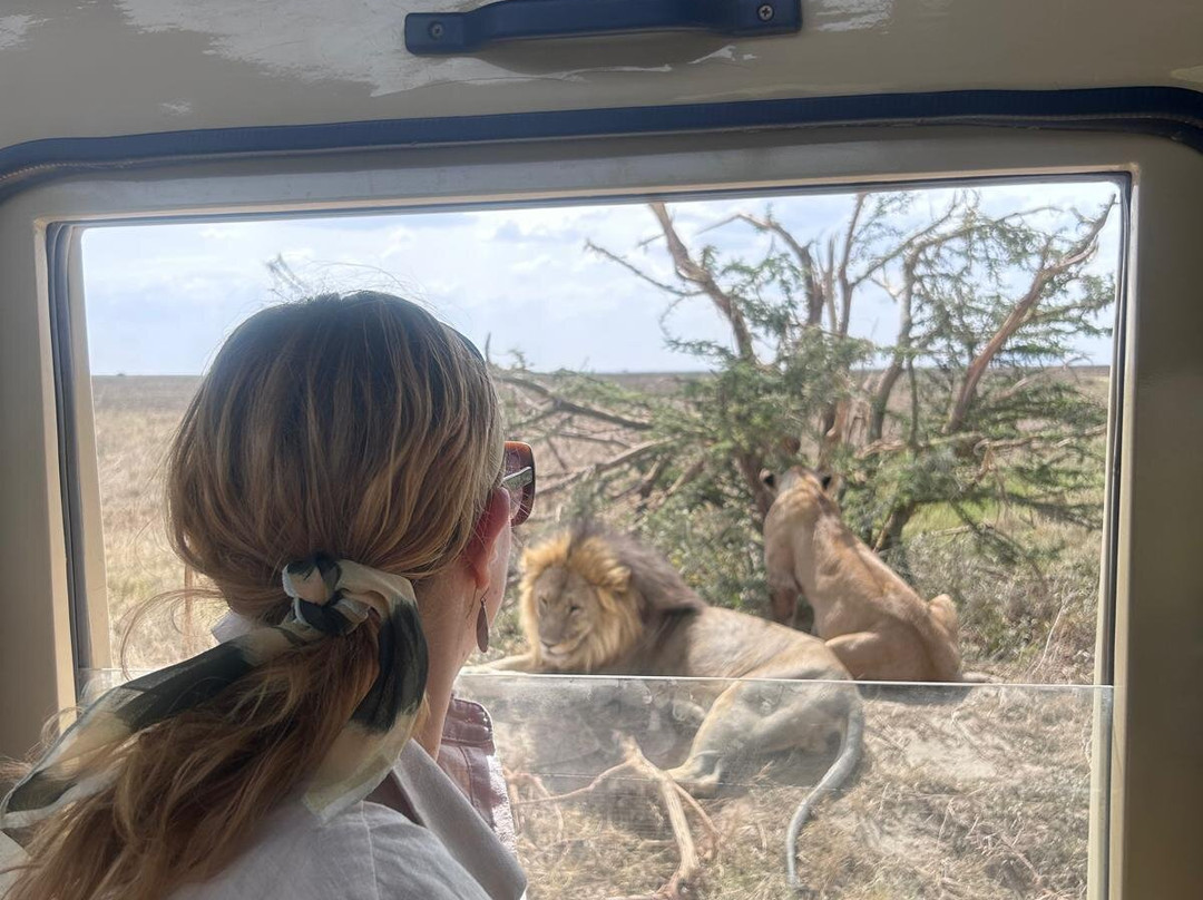 Myriad Safaris-阿鲁沙必去景点