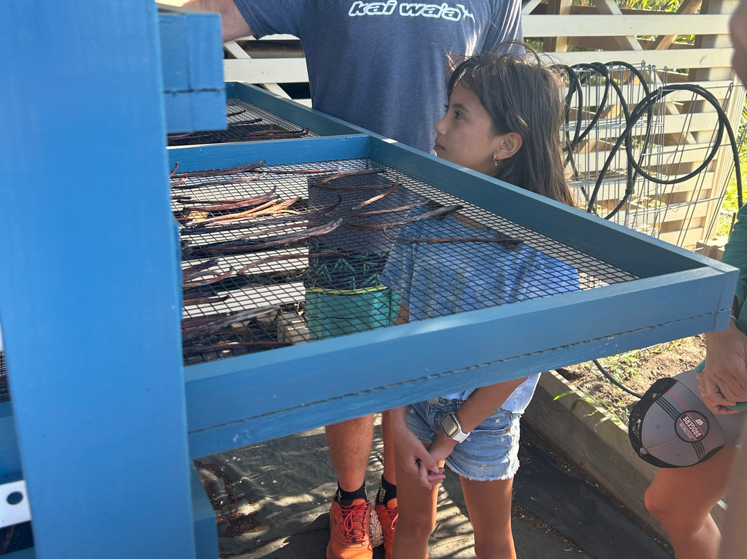 Maui Vanilla Farm-马卡瓦必去景点