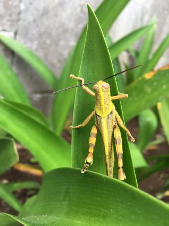 巴厘岛世外桃源别墅主图