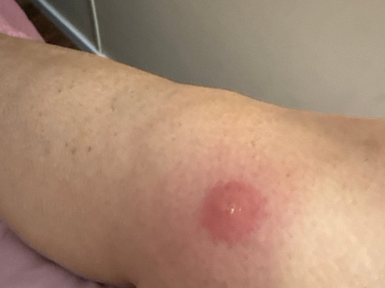 Days Inn by Wyndham Roswell主图