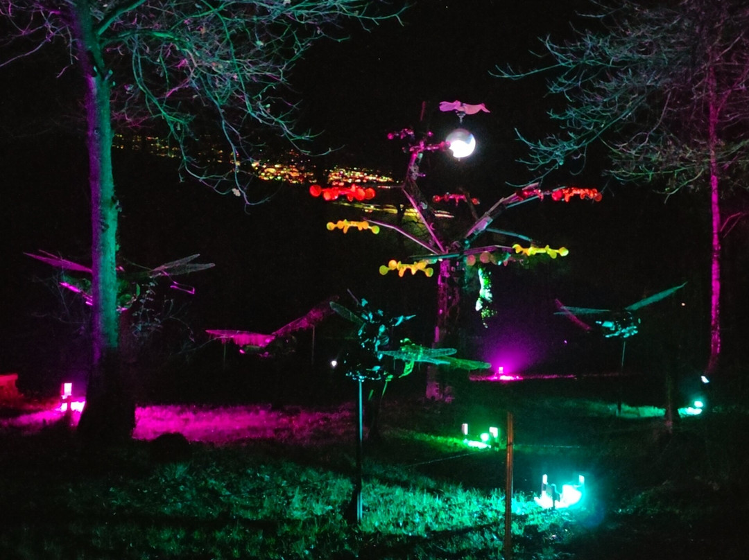 Cotswold Sculpture Park-Somerford Keynes必去景点