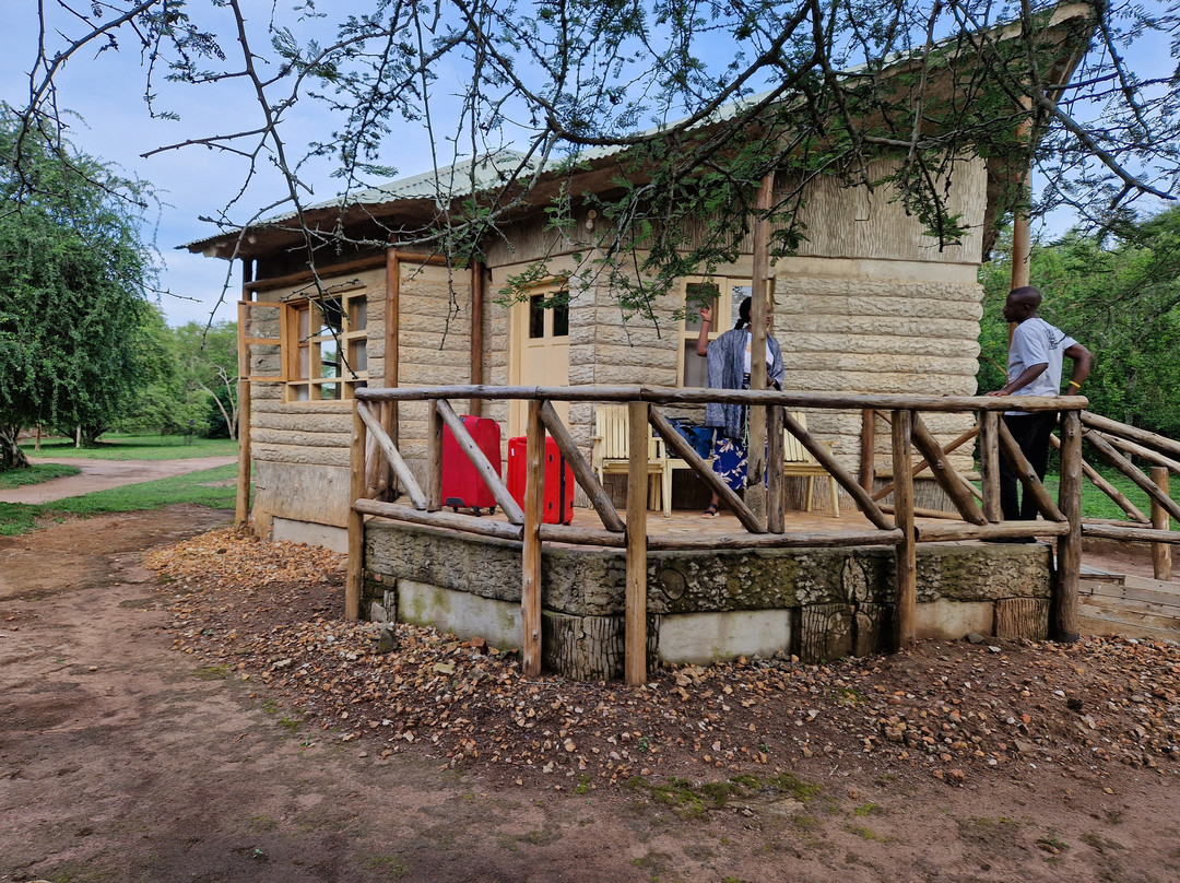 Gorilla Tour Booking Safaris-坎帕拉必去景点