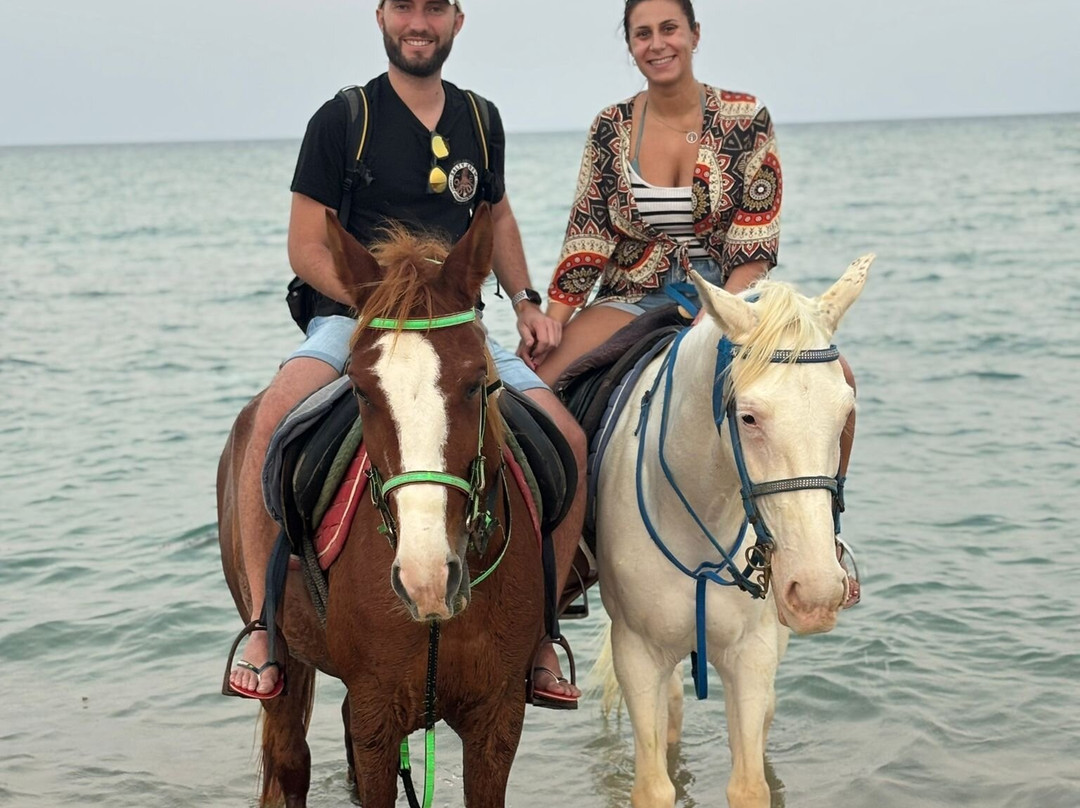 Hurghada Horse (Sokary Farm)-赫尔格达必去景点