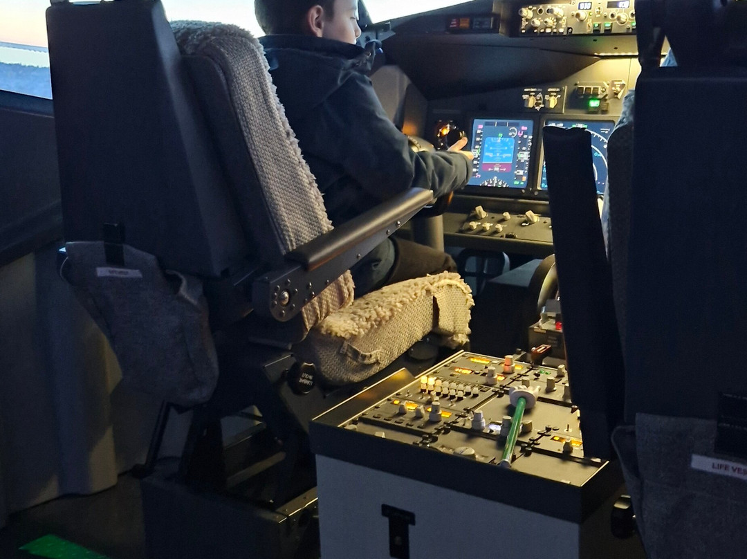 The Flight Experience-纽卡斯尔必去景点