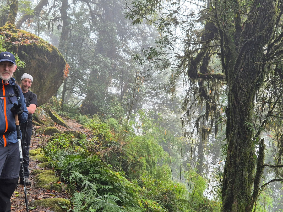Hayley Webb Mountain Adventures-Hesket Newmarket必去景点