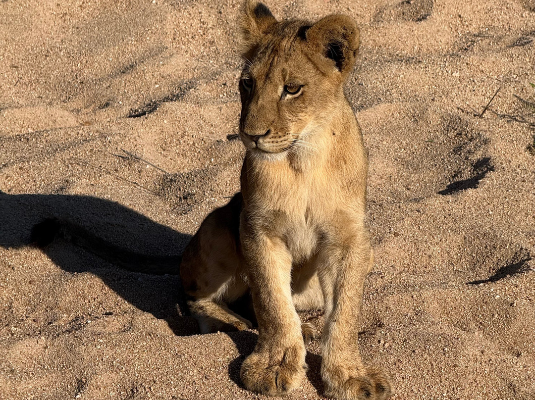 Snyman Safaris-南帚必去景点