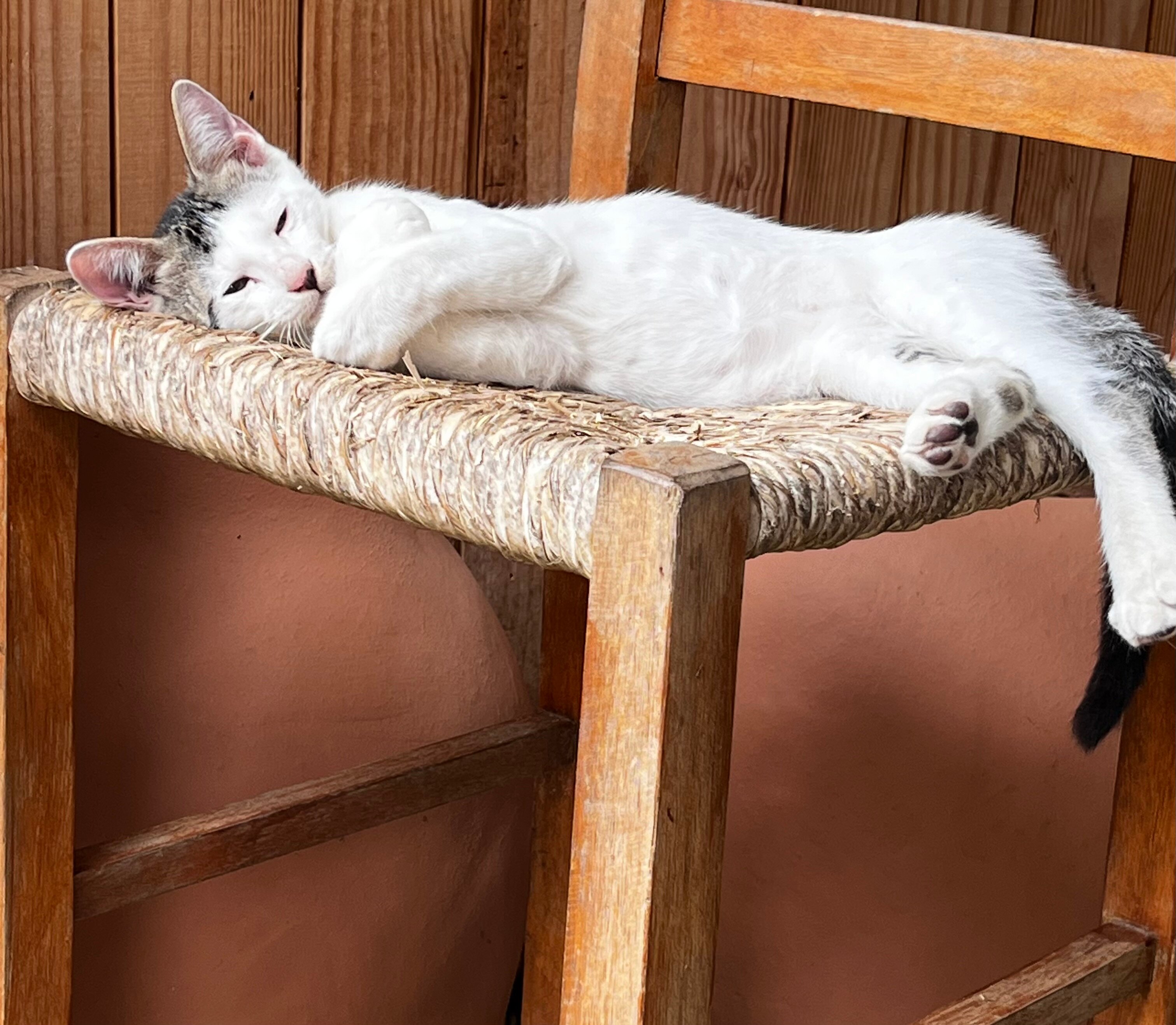 Pousada Encontro das Águas-官方