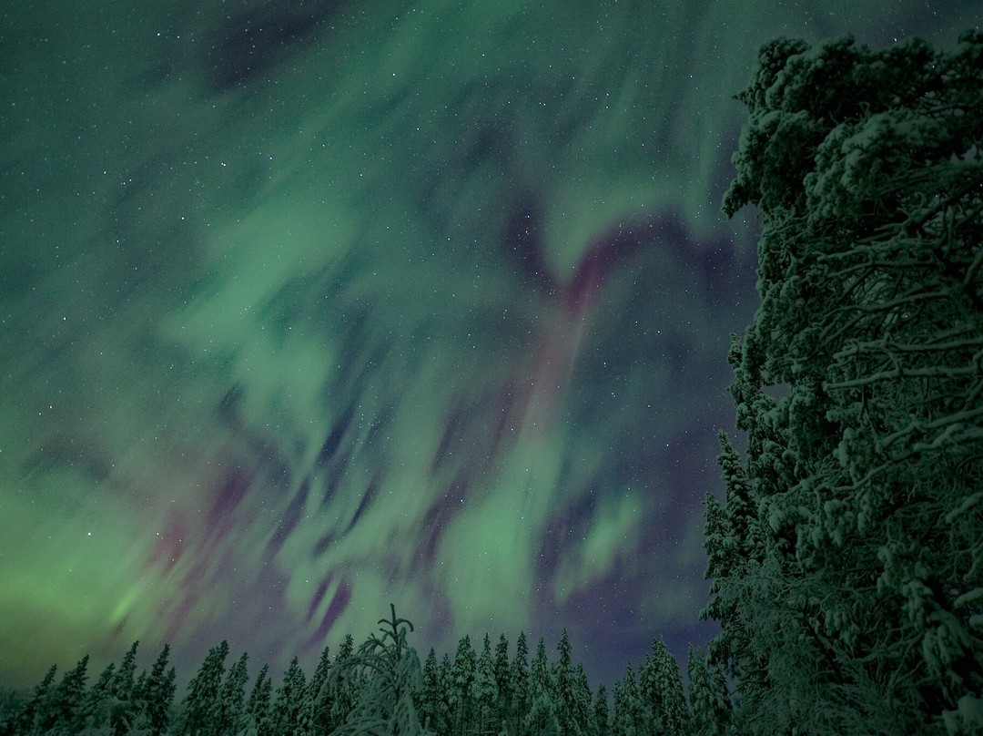 Nivunki Village-Muonio必去景点