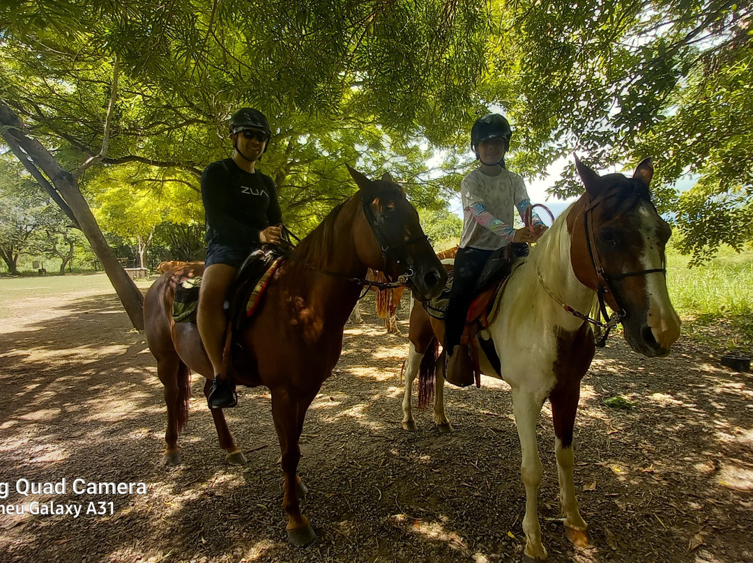 Parque Ecológico Rio Formoso-博尼图必去景点