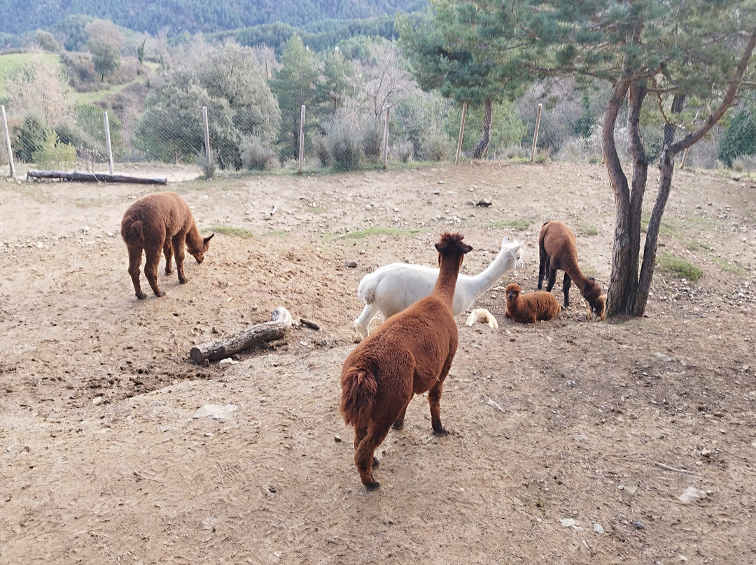 Merolla Berguedà-Berga必去景点