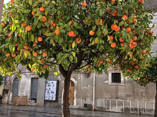 B&B Home Sweet Home主图