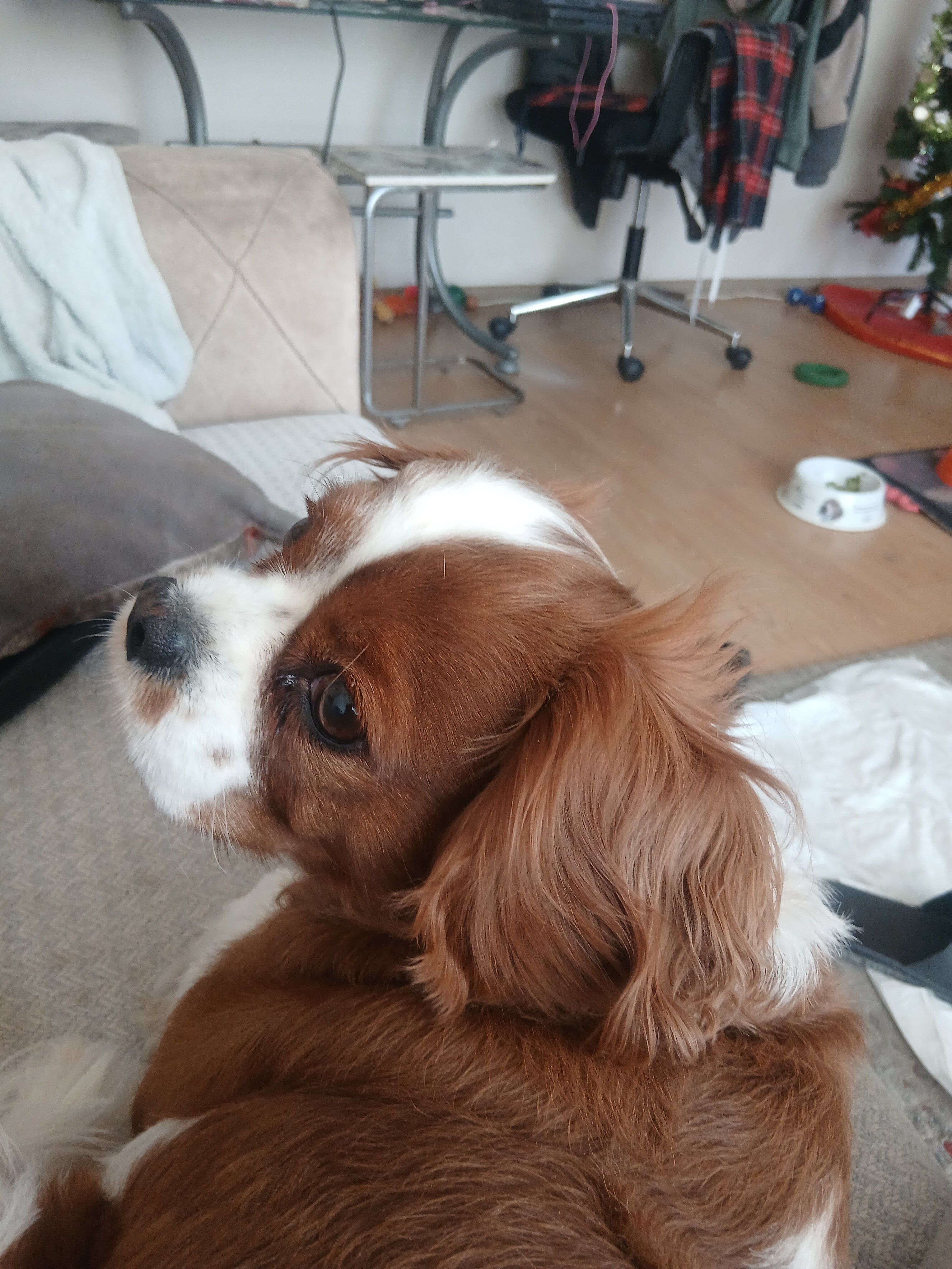 The Northern Hotel-官方