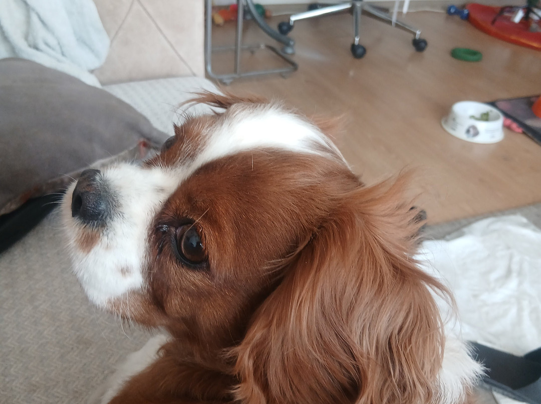 The Northern Hotel主图