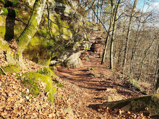 Altschlossfelsen-Eppenbrunn必去景点
