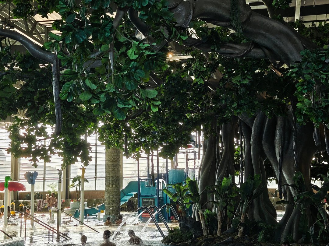 Amazonia Aquapark-蒂米什瓦拉必去景点