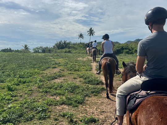 Sailh's Paradise Horse Riding-Vieques必去景点
