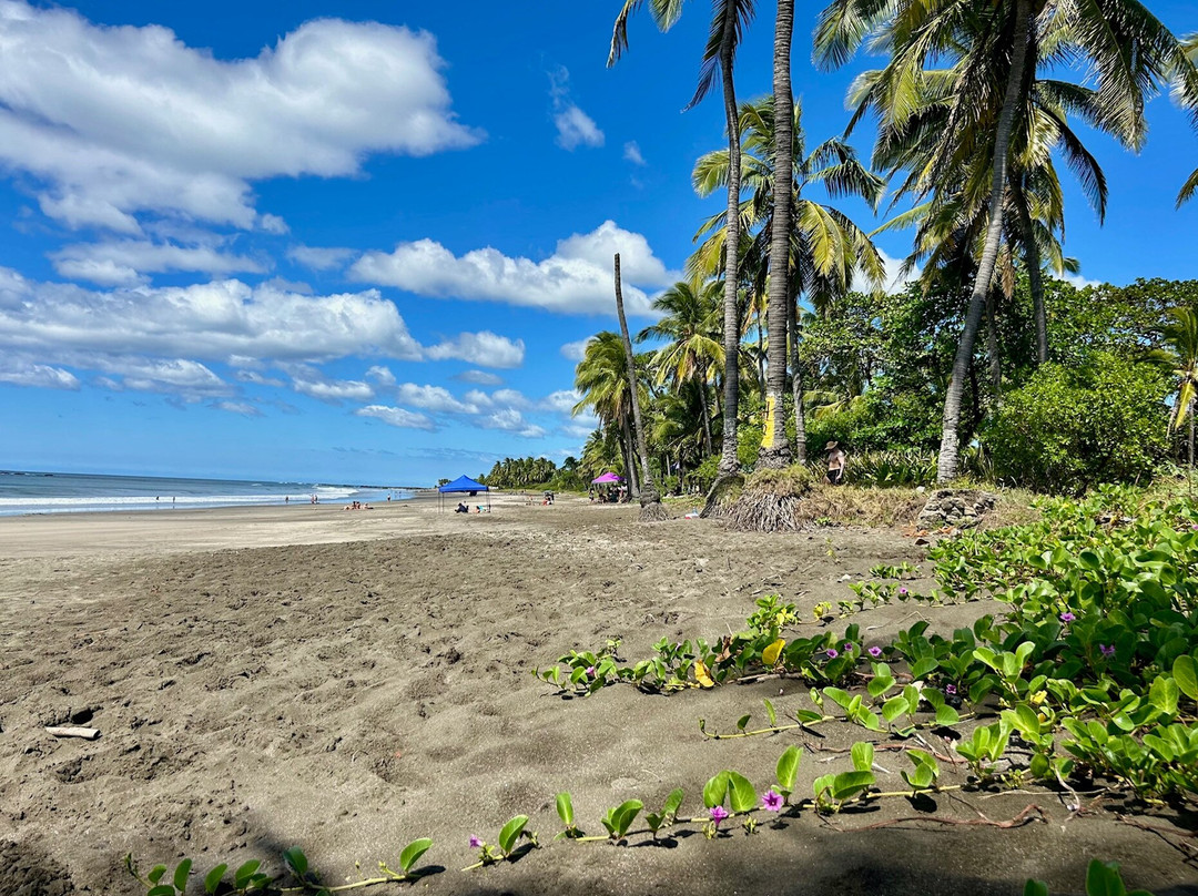 Tides Oceanfront Resort主图