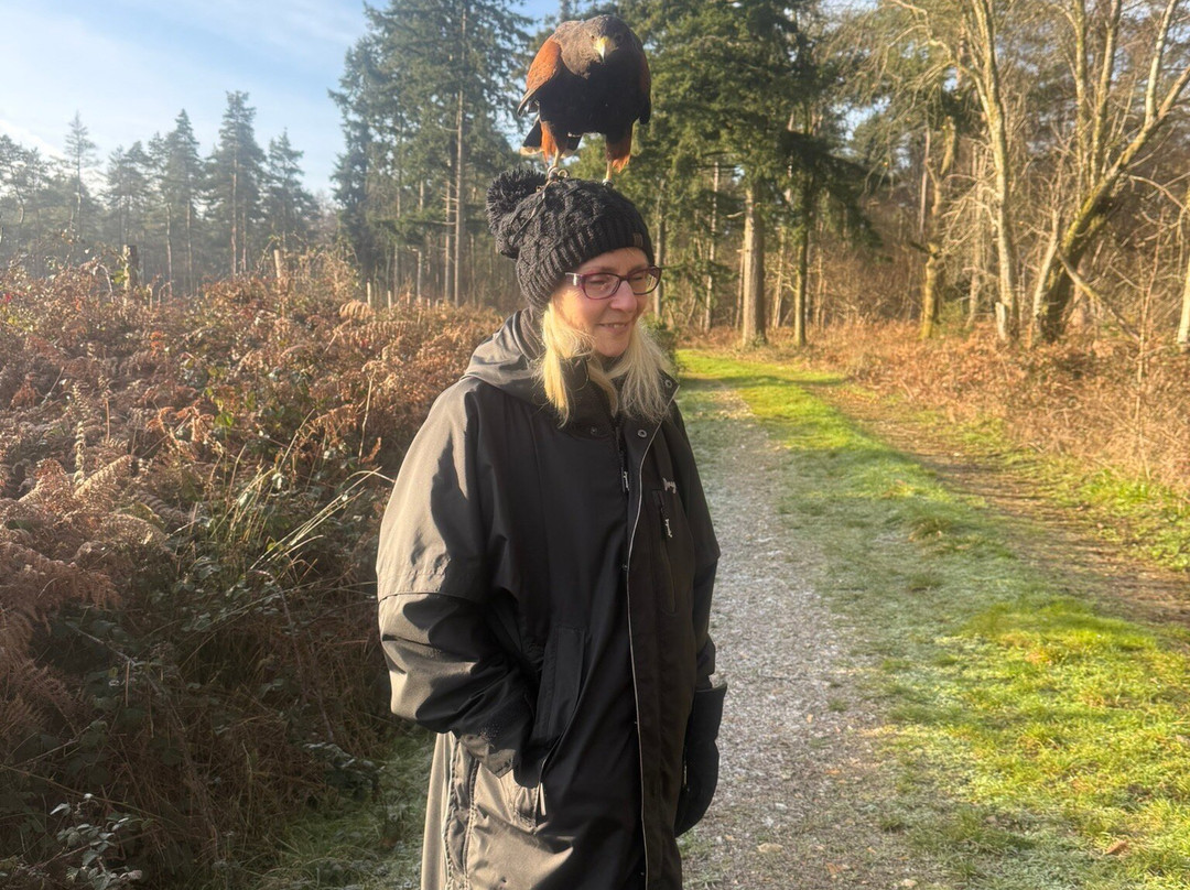 Hampshire Hawk Walks-Alton必去景点