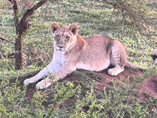 CTC Conservation Center-Mpigi必去景点