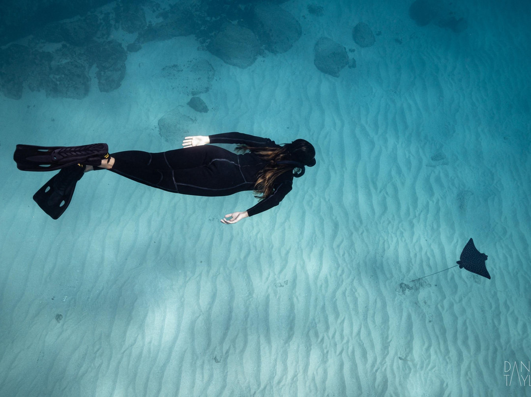 Uncharted Expeditions-圣何塞卡波必去景点