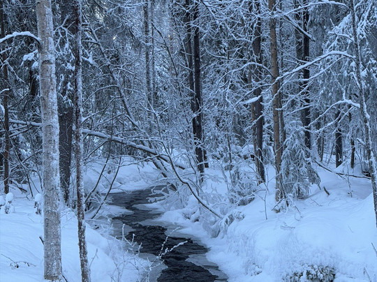 Vuosku Arctic Experiences-罗瓦涅米必去景点