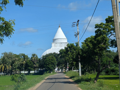 MY HOLIDAY SRI LANKA-佩拉德尼亚必去景点