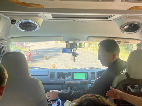 Mr. Boon-清迈必去景点