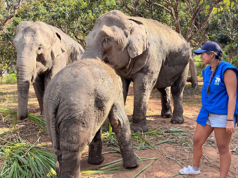 CHIANGMAI ELEPHANT CARE (Mae Taeng)-清迈必去景点