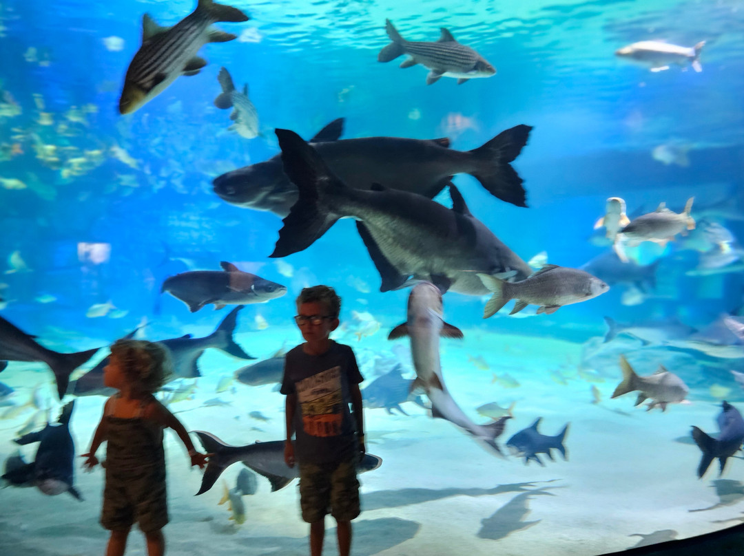 Angkor Wildlife & Aquarium-暹粒必去景点