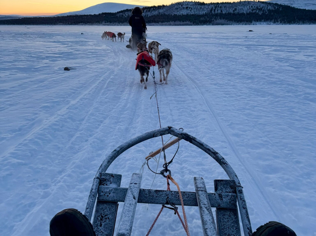 Husky Home-基律纳必去景点