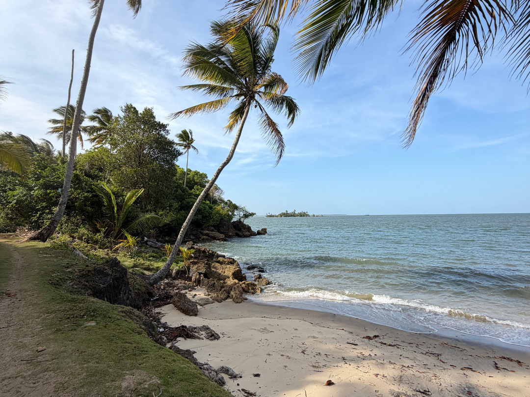 Lanchas Maria Hellena-Camamu必去景点