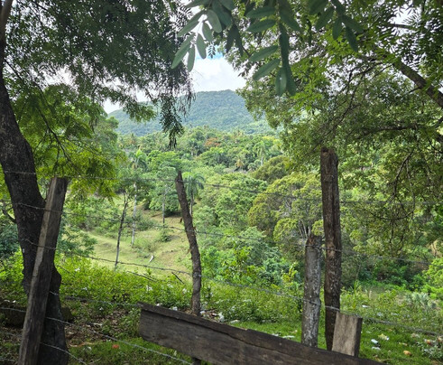 Runners Adventures-普拉塔港必去景点