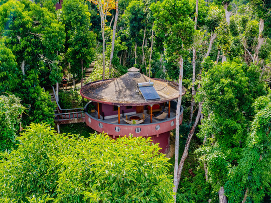 Atremaru Jungle Retreat主图