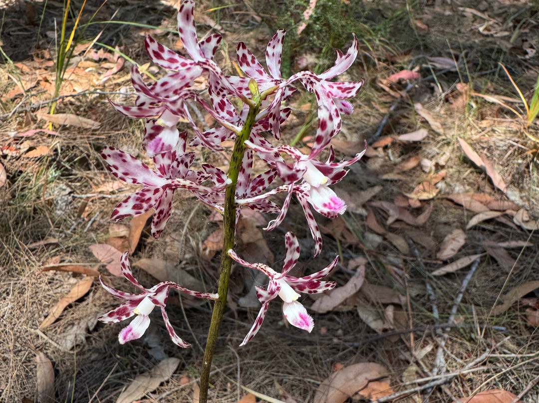 Bilbaan Cultural Experience-Broadwater必去景点