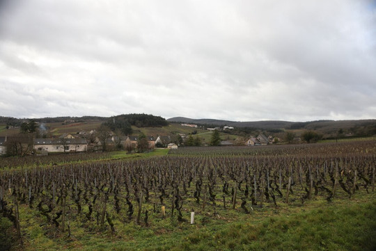 Domaine Philippe Et Fabienne Menand-Mercurey必去景点