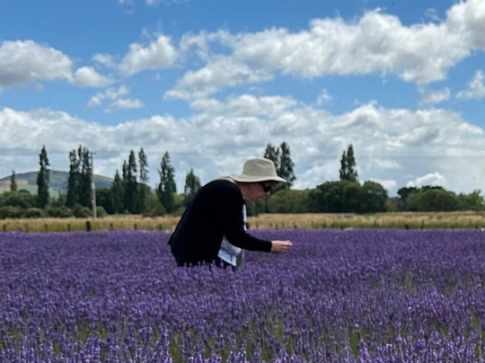 Lavender Abbey-Carterton必去景点