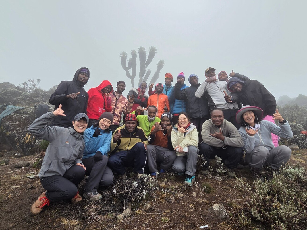 Top Climbers Expedition-莫西必去景点