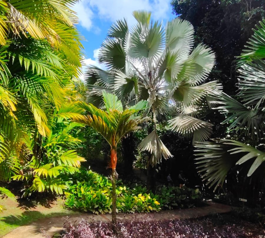 Jardin Botanique de Valombreuse-Petit-Bourg必去景点