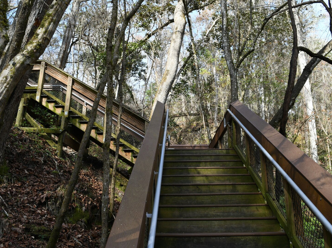 Devil's Millhopper Geological State Park-盖恩斯维尔必去景点