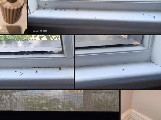 CocknBull Boutique Hotel主图