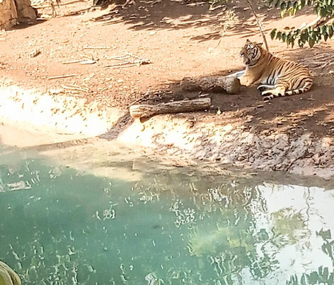 Terra Natura Benidorm-贝尼多姆必去景点