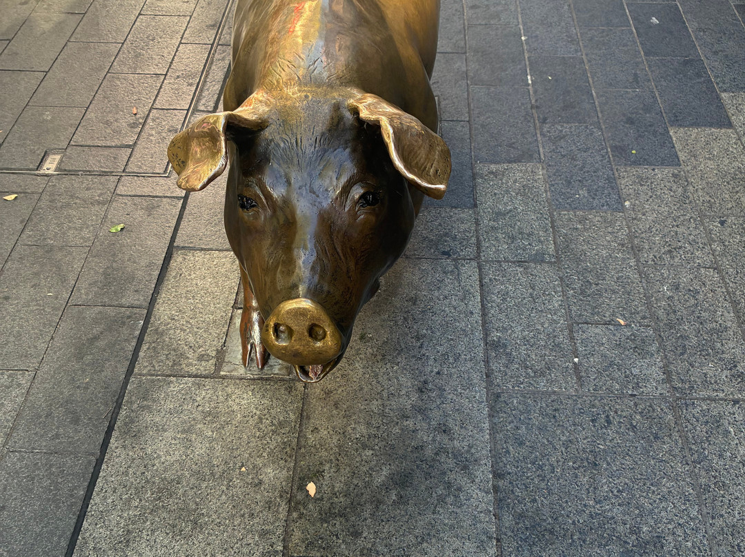 The Rundle Mall Pigs-阿德莱德必去景点