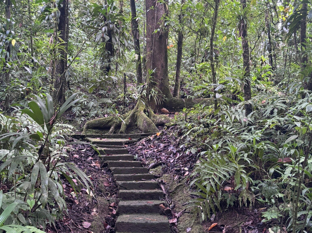 Domaine d'Emeraude-Le Morne-Rouge必去景点