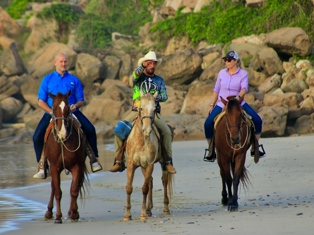 Vista Paraiso - Day Tours and Activities-Higuera Blanca必去景点