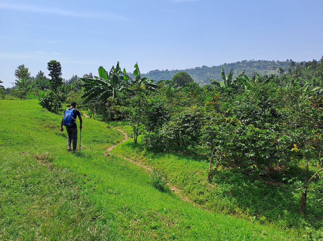 Go Gisenyi Tours-吉塞尼必去景点