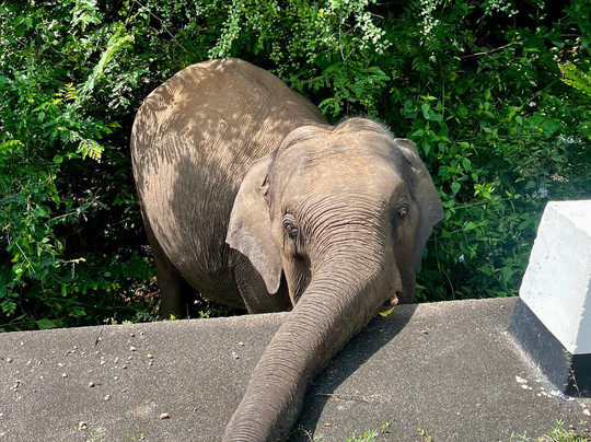 Exclusively Sri Lanka-Raddolugama必去景点