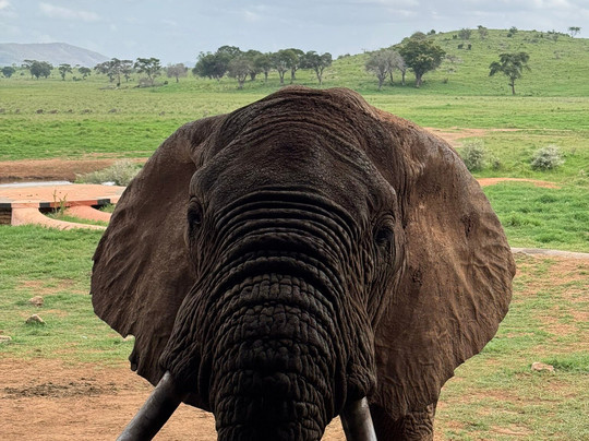 Safari e escursioni in kenya con Charo John-瓦塔木必去景点